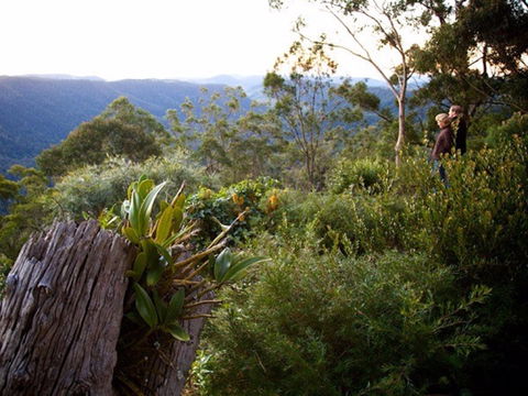 Binna Burra - Accommodation Brisbane 1