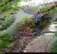 Black Dragon Gardens Wulong Yuan - Accommodation Brisbane