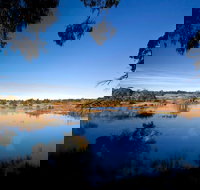 Cecil Hoskins Nature Reserve - Accommodation Brisbane