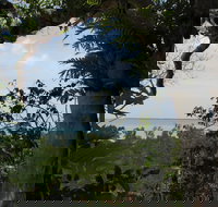 Channel Point Coastal Reserve - Accommodation Brisbane