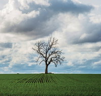 Clare Valley - Accommodation Brisbane