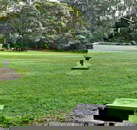 Cottonwood Glen Picnic Area - Accommodation Brisbane