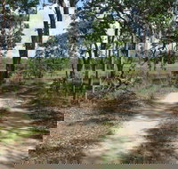 Djukbinj National Park - Accommodation Brisbane