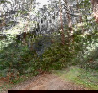 End Peak walking track - Accommodation Brisbane