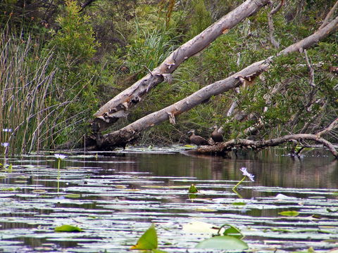 Esk River - Accommodation Brisbane 1