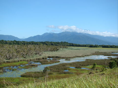 Eubenangee Swamp National Park - Accommodation Brisbane 0
