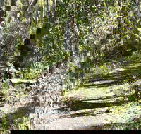 Euglah Rock Walking Track - Accommodation Brisbane