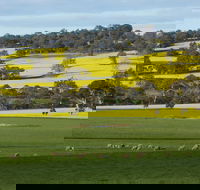 Fini Olives - Accommodation Brisbane