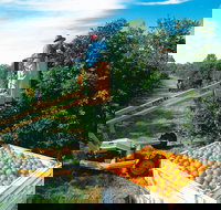 Gayndah's Big Orange - Accommodation Brisbane