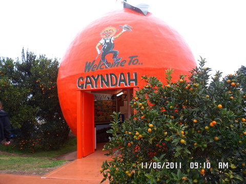 Gayndah's Big Orange - Accommodation Brisbane 2