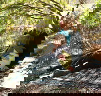 Haig Street Quarry Bushland Reserve Trails - Accommodation Brisbane