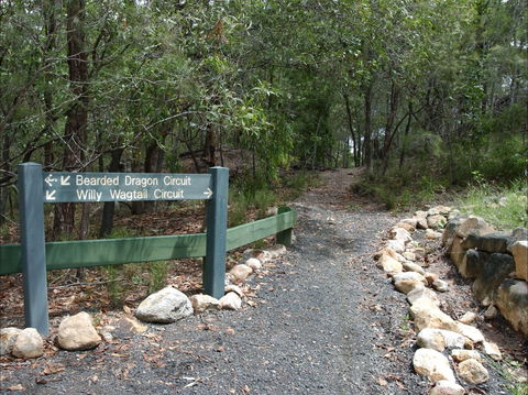 Haig Street Quarry Bushland Reserve Trails - Accommodation Brisbane 1