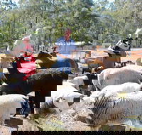 Haigslea EWE Nique Hobby Farm - Accommodation Brisbane