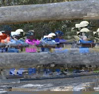 Harlow Park Horse Riding - Accommodation Brisbane