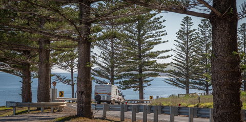 Lady Bay Beach - Accommodation Brisbane 1