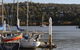 Launceston - thumb 2