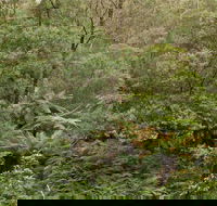 Lind National Park - Accommodation Brisbane
