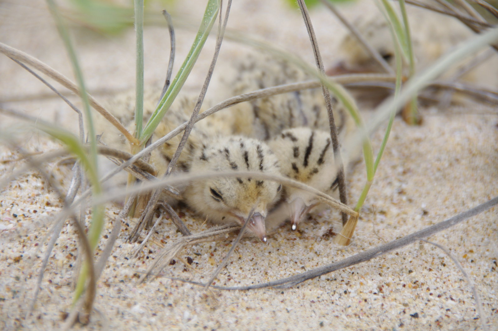 Accommodation Brisbane