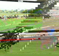 Manning Valley Race Club - Accommodation Brisbane