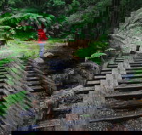 Montezuma Falls - Accommodation Brisbane