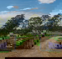 Moorebank Vineyard - Accommodation Brisbane