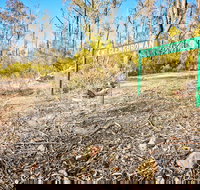 Mt Glenrowan Lookout Walk - Accommodation Brisbane