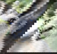 Mungallala - Accommodation Brisbane