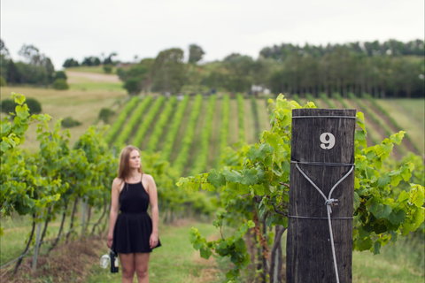 Naturally Luxurious - Great Beach Drive - Accommodation Brisbane 0