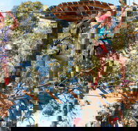 Next Level Monkey Business - Accommodation Brisbane