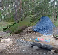 Northbrook Mountain Bush Camp - Accommodation Brisbane