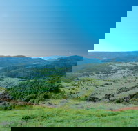 Numinbah Section Springbrook National Park - Accommodation Brisbane