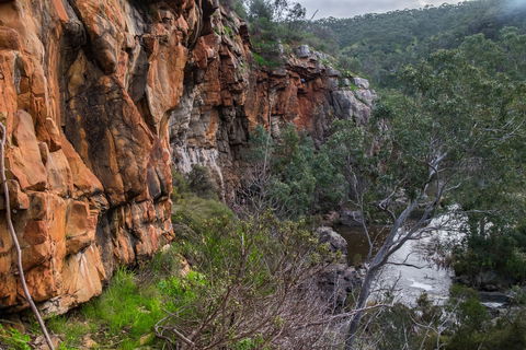 Onkaparinga River National Park - Accommodation Brisbane 1