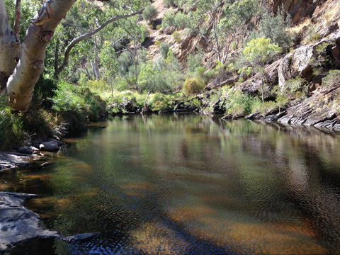 Onkaparinga River National Park - Accommodation Brisbane 2
