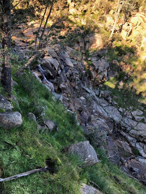 Pine Gully Nature Trail - Accommodation Brisbane 0