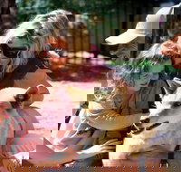 Potoroo Palace Native Animal Sanctuary - Accommodation Brisbane