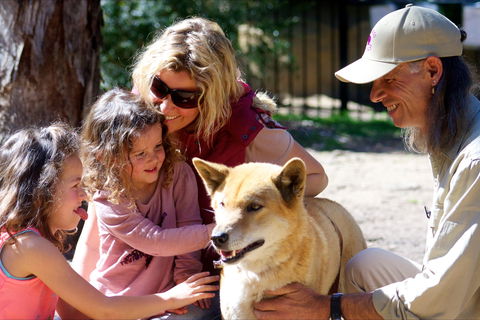 Potoroo Palace Native Animal Sanctuary - Accommodation Brisbane 0
