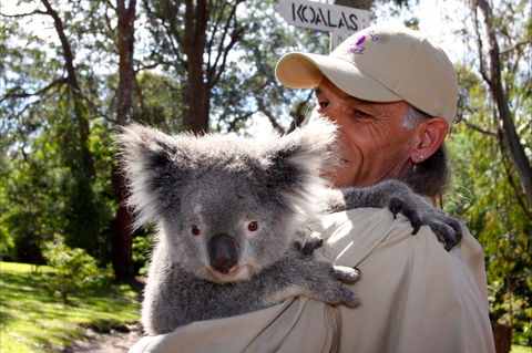 Potoroo Palace Native Animal Sanctuary - Accommodation Brisbane 2