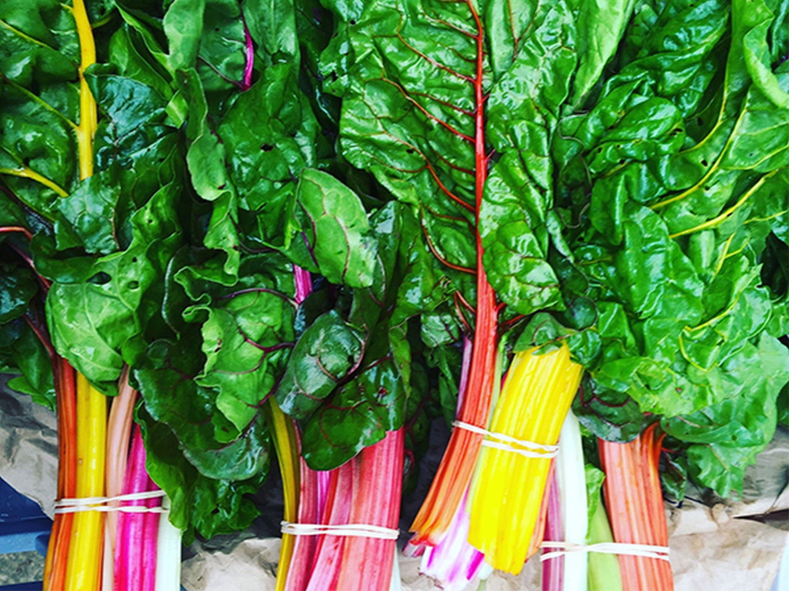 Anambah NSW Accommodation Brisbane