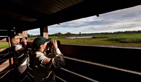 Reed Beds Bird Hide Boardwalk - Accommodation Brisbane 0