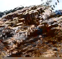 Rock Climbing in Morialta - Accommodation Brisbane