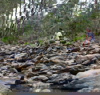 Rocksberg Park Heritage Reserve - Accommodation Brisbane