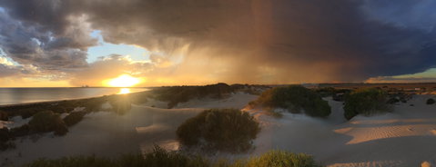 Shelly Beach Dune Walk Trail - Accommodation Brisbane 2