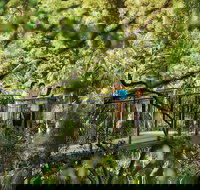 Tamborine Mountain - Accommodation Brisbane