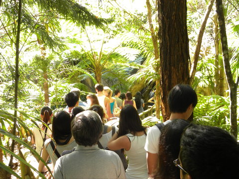 Tamborine Mountain Glow Worm Tours - Accommodation Brisbane 1