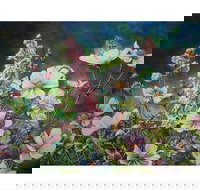 The Homestead Gallery - Accommodation Brisbane