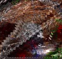 Undara Experience - Accommodation Brisbane