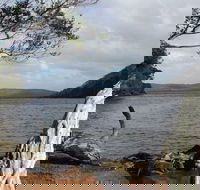 Walpole-Nornalup Inlet - Accommodation Brisbane