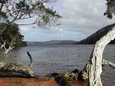 Walpole-Nornalup Inlet - Accommodation Brisbane 0