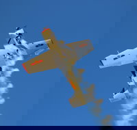 Warbird Aerial Adventures - Accommodation Brisbane