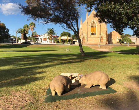 Wombat Statues, Moonta - Accommodation Brisbane 2